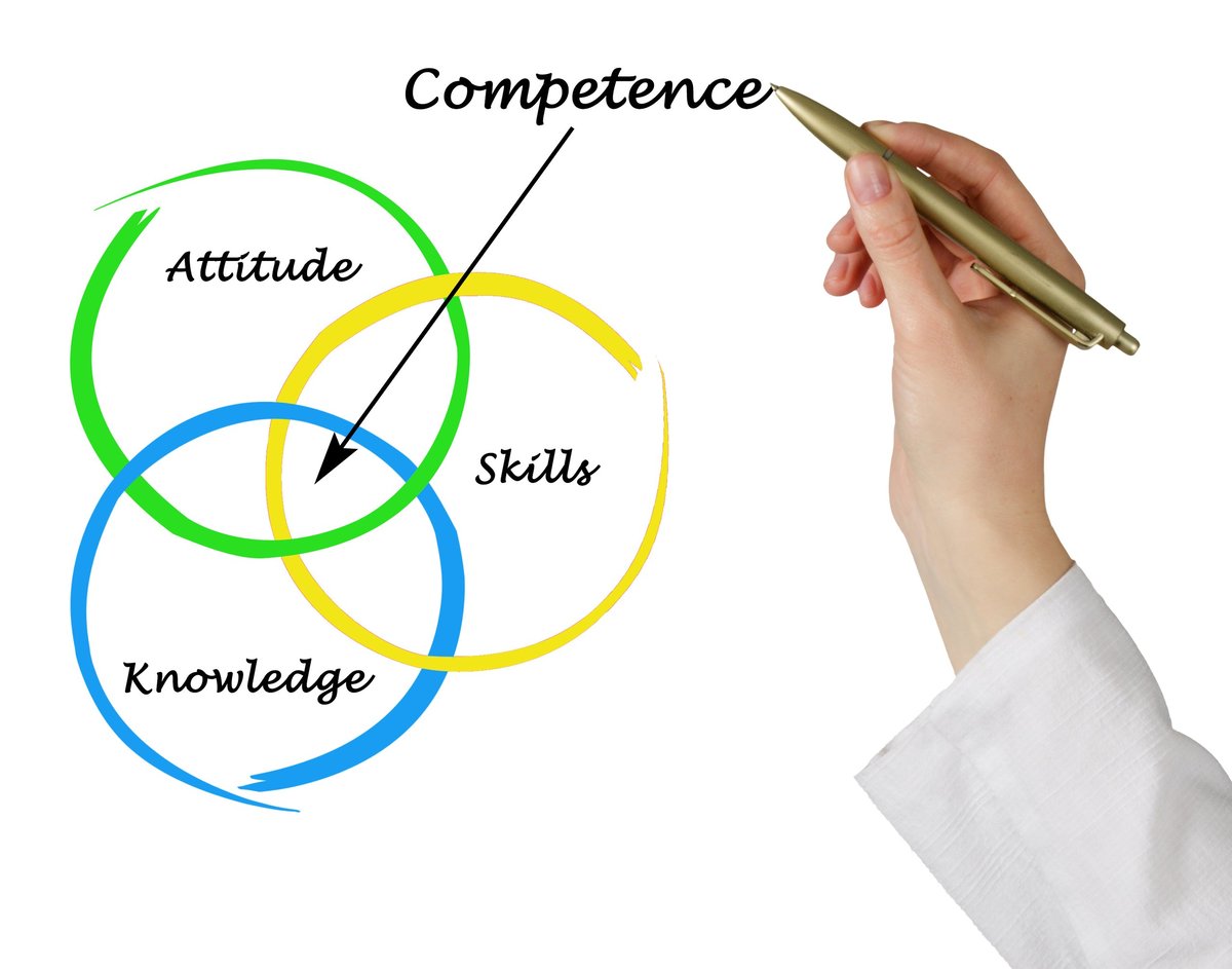 Diagram of competence showing how employee skills and capabilities map across an organisation